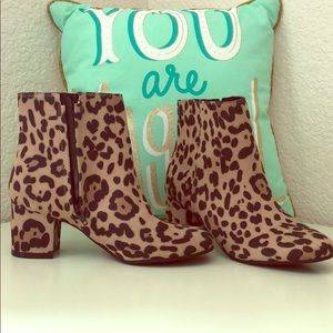 Leopard booties BRAND NEW!